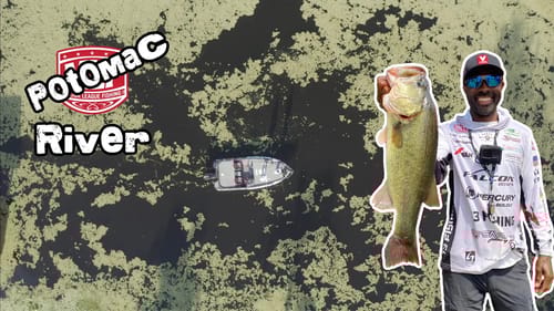 Searching For Big River Bass - MLF Invitational Potomac River