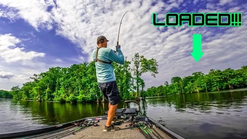 LOADED POINT Found During AFTERNOON BASS TOURNAMENT!!!