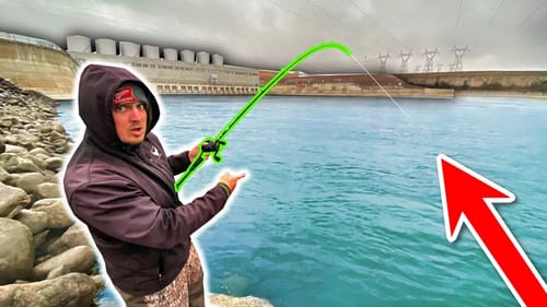 Thousands of STARVING Fish Migrate to this MASSIVE Spillway for Winter!!!