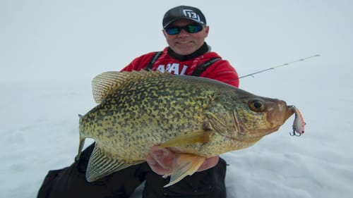 Target Giant Crappie With Lipless Crankbaits