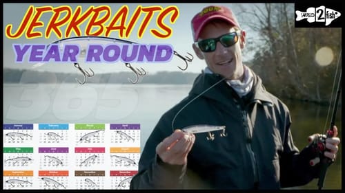 5 Jerkbait Fishing Tips for Year-Round Success