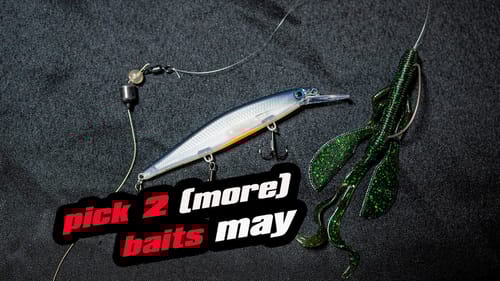 Pick 2 (More) Baits | May