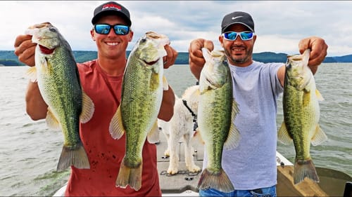 CATCH MORE BASS on LAKES in the SUMMER! (Tips and Tricks)