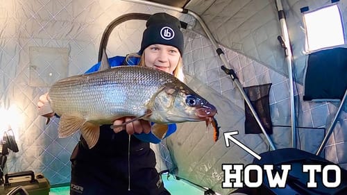 Late Season SHALLOW Simoce Whitefish on the Meegs!
