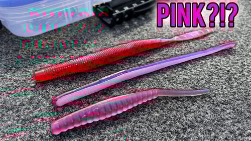 Is PINK Worm Fishing a JOKE?!!?