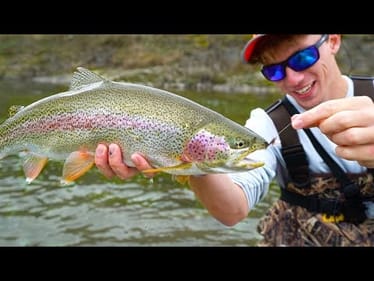 Alaskan Bush Fishing With MICRO Lures & Light Tackle