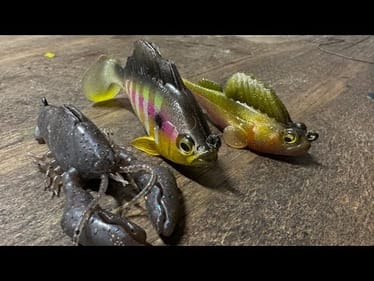 The Main Megabass Lures Pro Anglers Try To Keep Secret…