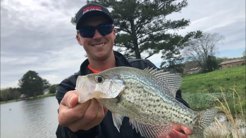 Using JIGS and MINNOWS! Which One Works Best WHEN??? (Fishing Tips)