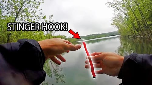Catching BASS on BEDS on Table Rock Lake! Stinger Hook!