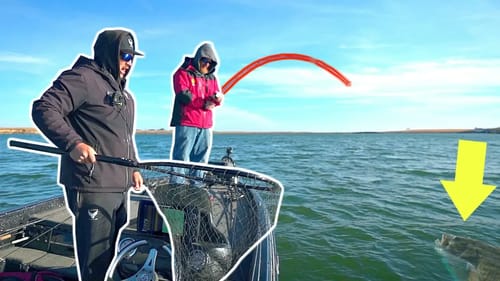 Unbelievable MASSIVE Fish Caught on Film!!! (State Record Quest P.2)