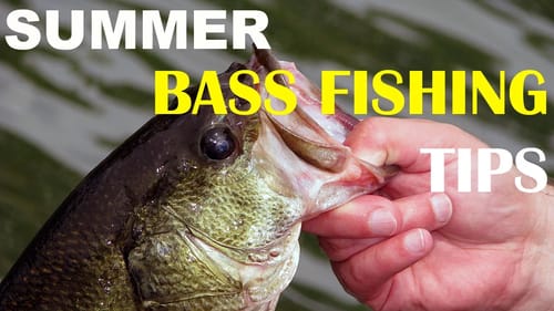 Summer Bass Fishing Tips | Bass Fishing