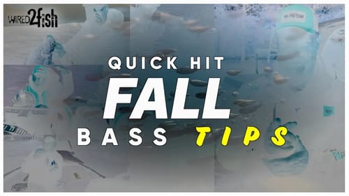 Where to Bass Fish in the Fall Months | Pros Weigh In