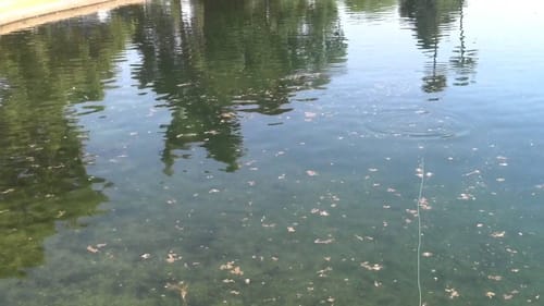 Spring Time Bass Fishing