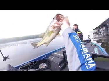 Alton Jones Jr. catches a 7-pounder on Kentucky Lake