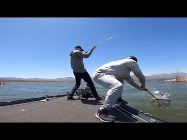We Found a HUGE School Of Fish - Plus An 8.5 Pounder!!