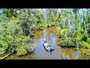 Fishing SHALLOW CREEKS Loaded with AGGRESSIVE BASS!!!