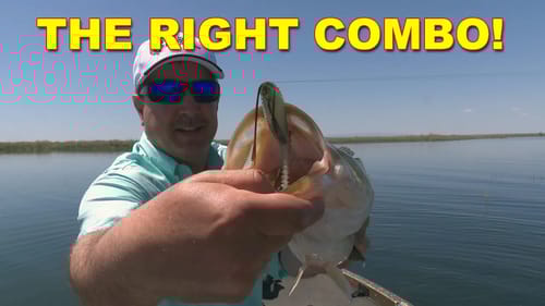 How To Choose A Combo: Paddletail Swimbaits (Rod, Reel, & Line) | Bass Fishing