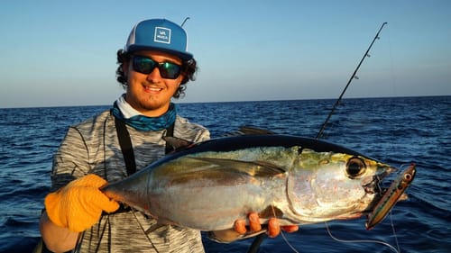 Tuna on Topwater and Hooking a GIANT Fish