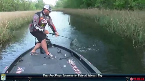 2019 Bassmaster LIVE at Winyah Bay - Friday