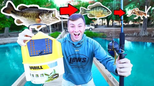 Food Chain Fishing Challenge (BIG FISH!)