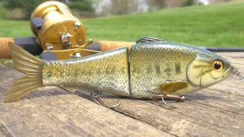 BIG Bait Challenge!!! - Ep.2 ($110 Shadley)