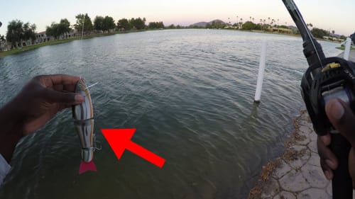 One Of My Best Days Fishing Big Swimbaits In Small Urban Ponds!