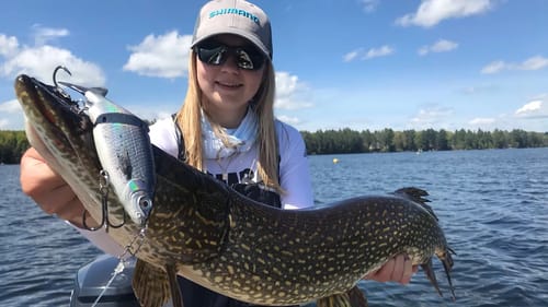 Catching BIG Pike on BIG Swimbaits!!