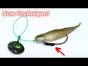 This New Hybrid Carolina Rig Technique Has Produced Big Bass!