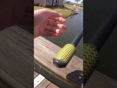 Bed fishing off a bridge! #shorts