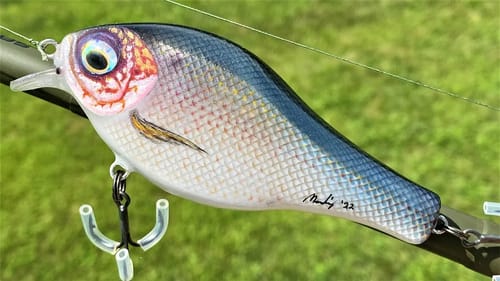 Internal Weight Transfer Lure Experimentation