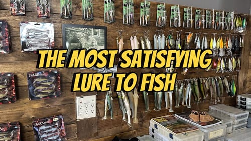 The Most Satisfying Bass Fishing Lure You Can Use…