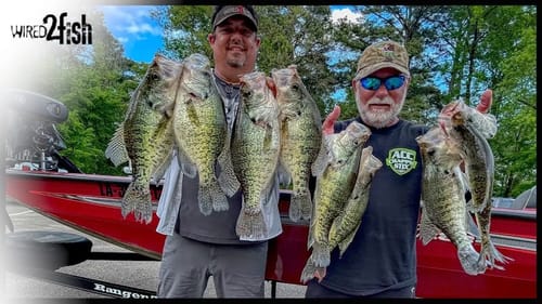 Catching GIANT CRAPPIE in Standing Timber with Jigs
