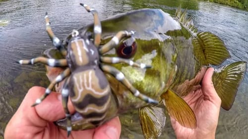 The Amazing Spider-Bass