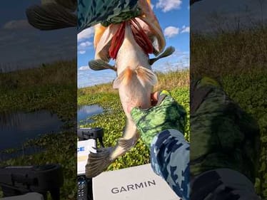 The BEST way to Catch BASS