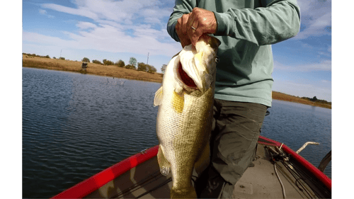 GIANT 10 lb. Bass!!