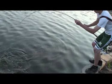 How to sight fish (5/24/10)