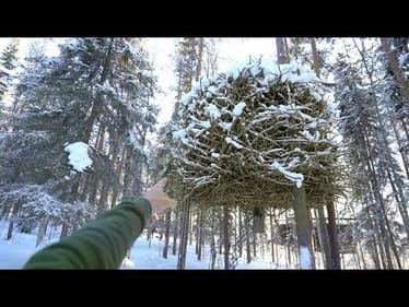 Living In a Tree House Hotel (What It's Like?)