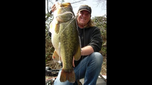 13 pound bass on the Alabama Rig