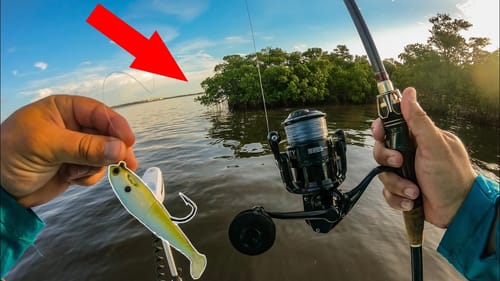 I've Never Caught This many Fish in One Spot!