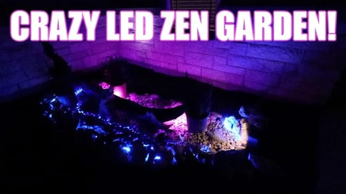 DOGS GOIN HAM, MY NEW ZEN GARDEN, & KETO CHEESECAKE