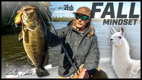 Feider's Fall Junk Fishing Mindset | Key Baits and Locations