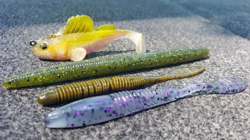 How To Catch BIG Bass On Ultralight Tackle! Senko And Dropshot!
