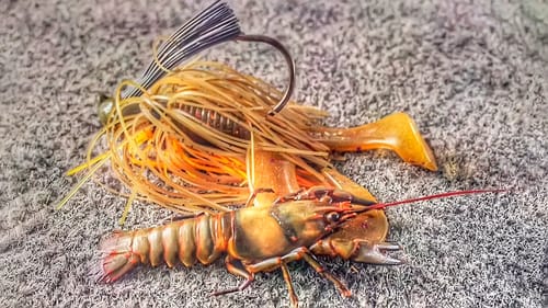 How to Choose the Right Jig Trailer with Mike Iaconelli