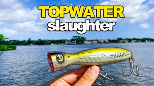 Fish Were Destroying Topwaters All Day! Fishing Inshore Docks, Seawalls and Bays