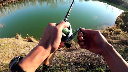 Sight Fishing Clear Water Bass Pt. 2