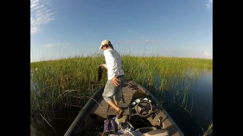 lake okeechobee 5-26 8 pound bass! flippin .5oz strike king hack attack jig