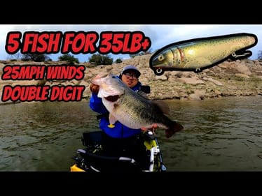 Epic Day of Bass Fishing with a Giant Topwater