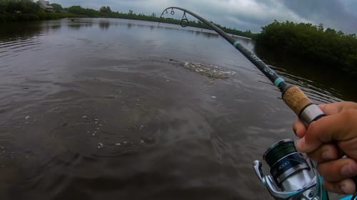 NEW PB Sight Casted on topwater In Secret Salt Pond (Biggest Fish in the Micro Skiff)