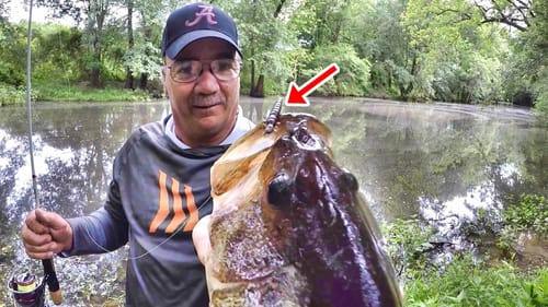 This Jig Catches Fish From The Bank Like A Machine!