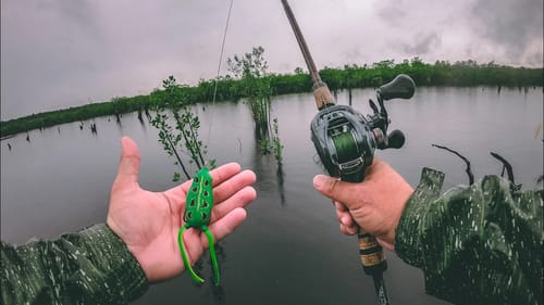 Frog Fishing the Amazon for Incredible Exotic Fish